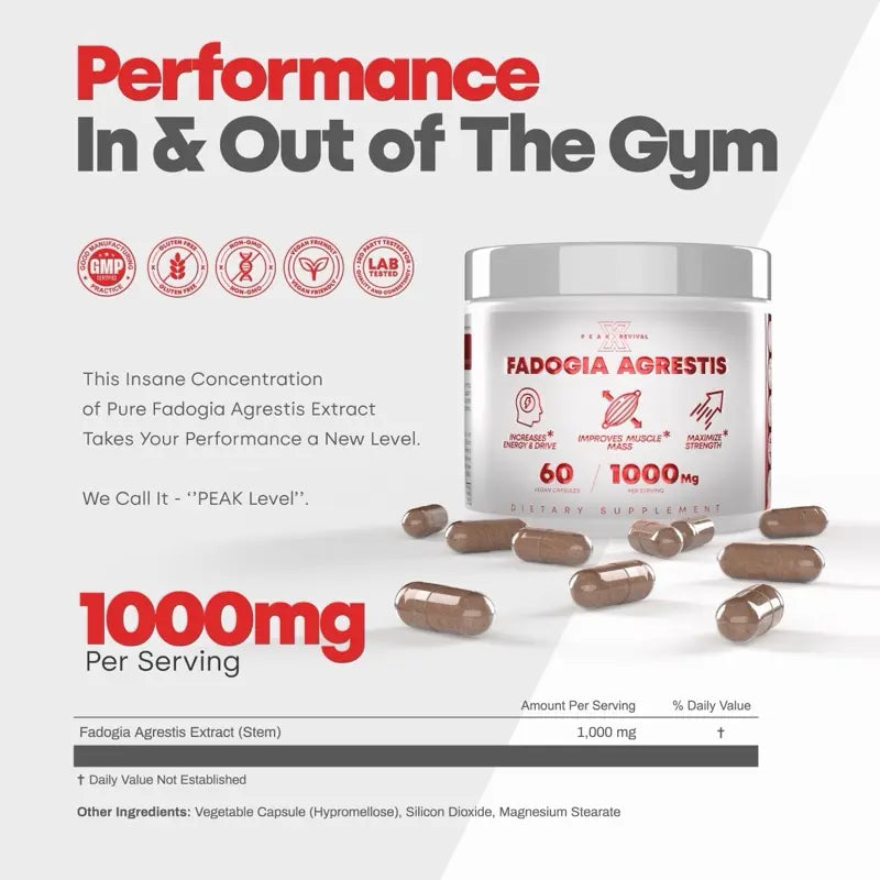 Muscle Stack – Testosterone Booster for Men - 2000Mg Turkesterone, Tongkat Ali & Fadogia Agrestis – Strength, Stamina, Energy, Muscle Growth & Recovery Support – Men'S T Booster Pills, Lab Tested, 120 Capsules