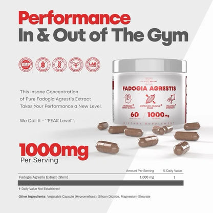 Muscle Stack – Testosterone Booster for Men - 2000Mg Turkesterone, Tongkat Ali & Fadogia Agrestis – Strength, Stamina, Energy, Muscle Growth & Recovery Support – Men'S T Booster Pills, Lab Tested, 120 Capsules